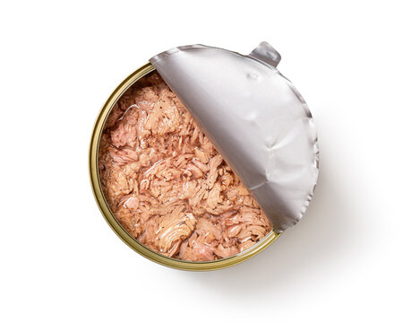 Canned tuna meat with oil in a large half open tin isolated on white background. Preserved tuna fish ingredient of low calories salads and healthy eating recipes. Mediterranean cuisine seafood.