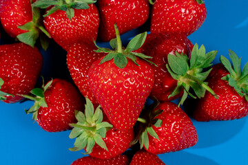 Bunch of strawberries on blue background. Red berry summer seasonal fruit.