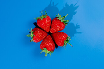 Bunch of strawberries on blue background. Red berry summer seasonal fruit.