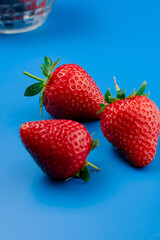 Bunch of strawberries on blue background. Red berry summer seasonal fruit.