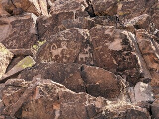 Tucson Petroglyphs