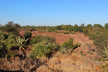 Afrikanischer Busch - Krügerpark - Red Rocks / African Bush - Kruger Park - Red Rocks /