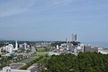 Fototapeta na wymiar view of the city in korea