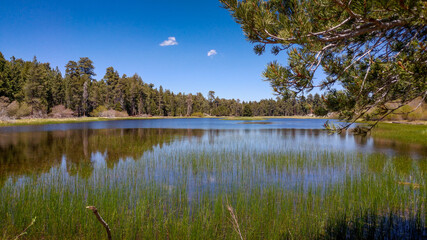 Big Bear, Calfironia - Bluff Lake Reserve