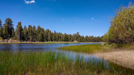 Big Bear, Calfironia - Bluff Lake Reserve