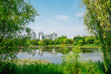 Fototapeta na wymiar Ilsan Lake Park and modern buildings in Goyang, Korea