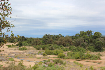 Timbavati River / Timbavati River /