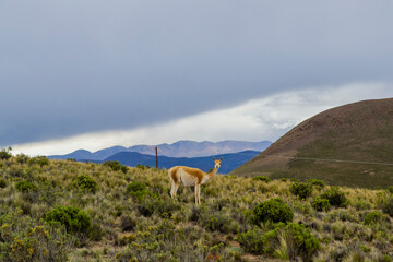  Jujuy - Argentina