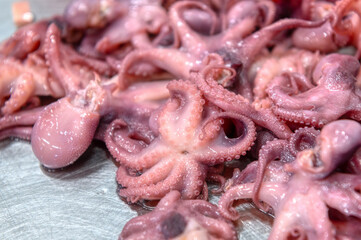 Lots of small canned octopuses. Ingredients for sea salad