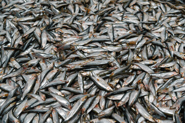 A large pile of sprat. Sprat is scattered over the surface.