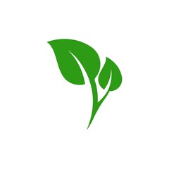 Green leaf logo