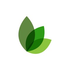 Green leaf logo