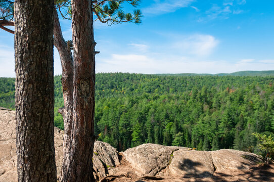 The view from a rocky lookout point spans across a massive forest.