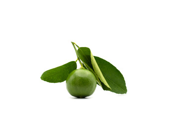 One day Lime with leafs isolated on white background.