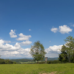 Obraz premium Schwarzwald 
