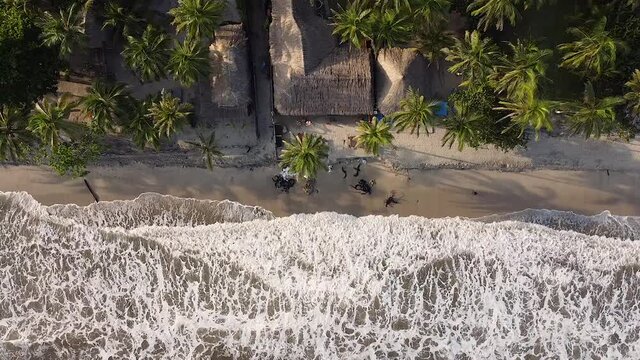 palomino la guajita en colombia, enfrente del mar, entre palmas y mucha arena con desayuno y olas que golpean  los pies. clima caluroso cielos despejados tomas con drone vuelo