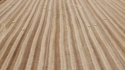 overhead aerial photo of the lines in the field after harvesting hay feed and rolling it into bales