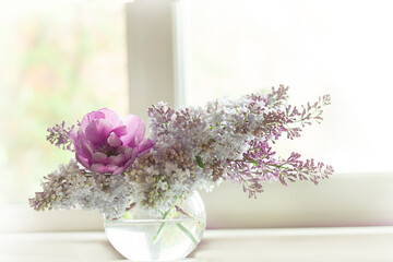 Lilac end purple terry tulip in a round glass vase on the background of a white window. High quality photo