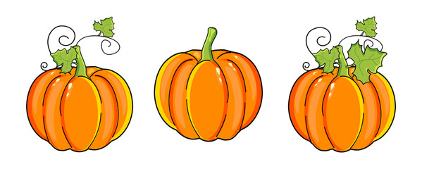 set of three pumpkins on a white background. Vector graphics. EPS format