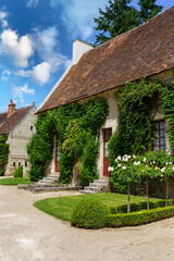 The backyard of the guest house is covered with vines. France.