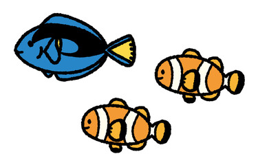 カクレクマノミとナンヨウハギ