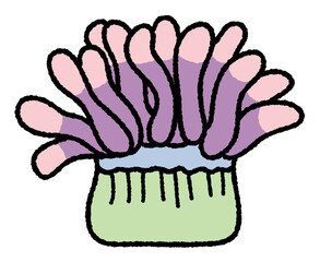 サンゴとイソギンチャク3