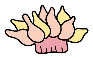 サンゴとイソギンチャク4