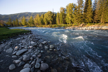 Mountain Altai