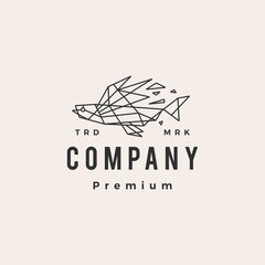 flying fish geometric hipster vintage logo vector icon illustration