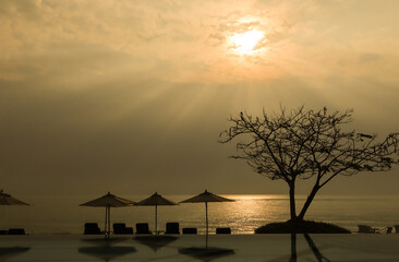 Silhouette of a swimming pool and sun loungers and umbrellas by the sea. with the shadows of the trees and the sun