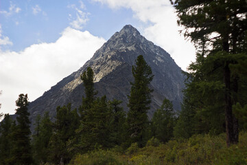 Mountain Altai