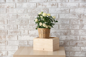 Fototapeta na wymiar Beautiful white roses in pot on table near brick wall