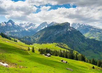 Foto op Plexiglas alpenweide in de bergen © Martin Cavallero