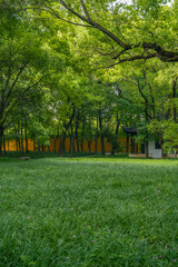 A green lawn in the backyard of a Buddhist temple in China.