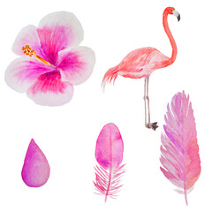 Pink flamingo clipart. Hand-drawn watercolor elements on an isolated background. Hibiscus flowers, blob, pink flamingo feathers. Children's cute illustrations. © Olga Shulgina
