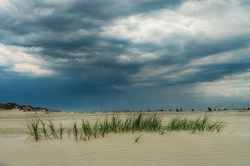 gewitterwolken an einem strand mit dünengras