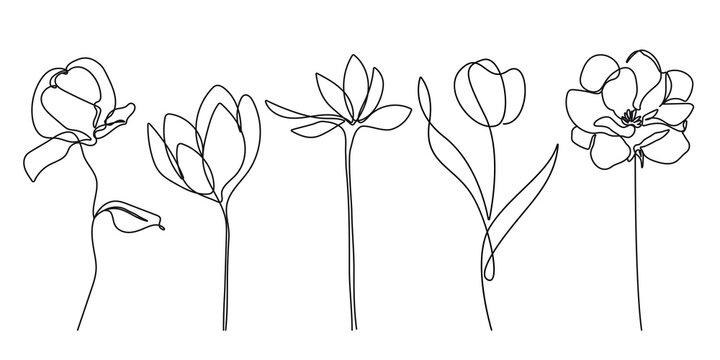 Vector Set of Hand Drawn, Line Art Flowers, Leaves, Plants. Continuous Line Flowers, Leaves. Art Floral Elements Set. Good for T-shirt and Wall Art Prints, Logos, Cosmetics. Minimalist Set Of Plants