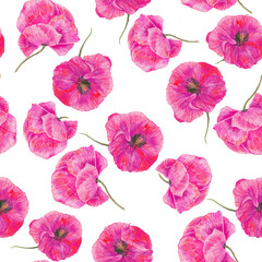 Pink poppies isolated on white background seamless pattern for all prints. Pencil drawing. Textured flowers.