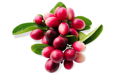 Carandas plum fruits, Carissa ( carandas Linn, Carunda, Karonda, Bengal currants, Mango yawning lime boo on white background. Fruit with medicinal properties. Clipping path.