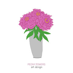 Peonies in a vase with green leaves on white background. A bouquet flowers. Hand drawing. Art design.Vector illustration.