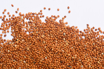  red millet, grain, on white background (Panicum miliaceum)