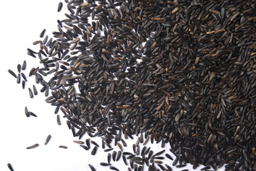 Guizotia abyssinica. Niger seeds on white background