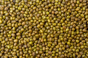 textured of  seeds on white background