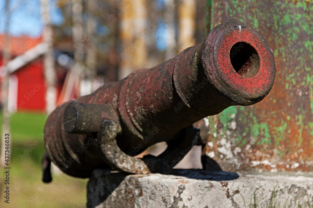 Wall mural an ancient cannon at the soldier's grave