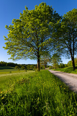 Sauerland Landschaft Panorama Deutschland Stimmung Schloss Melschede Weg Wandern Natur Sundern...