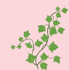 Simplicity ivy freehand drawing flat design.