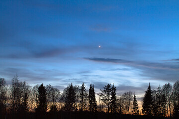 the planet Venus shines in the evening sky © rodimovpavel