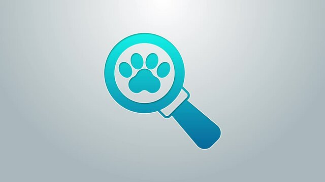 Blue line Veterinary clinic symbol icon isolated on grey background. Cross hospital sign. Stylized paw print dog or cat. Pet First Aid sign. 4K Video motion graphic animation