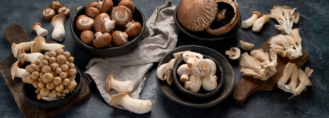 Variety of raw mushrooms on dark background. Vegan food cocnept. Panorama