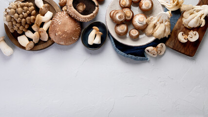 Variety of raw mushrooms on light gray background.
